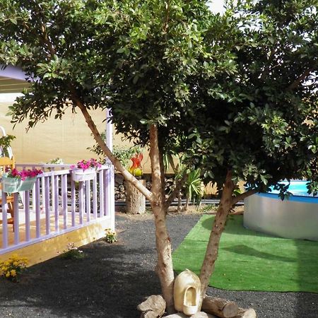 Chalet en oasis privado La Vegueta Exterior foto